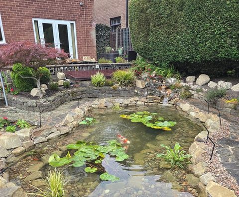 Ponds and Koi