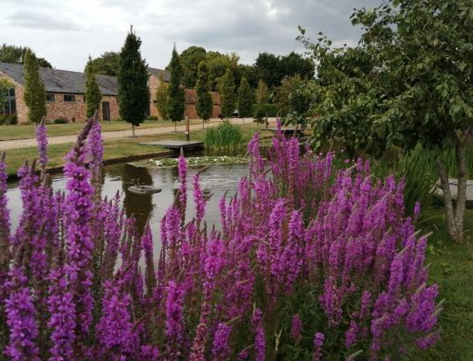 A W Cole Services Ltd Pond Cleaning & Maintenance