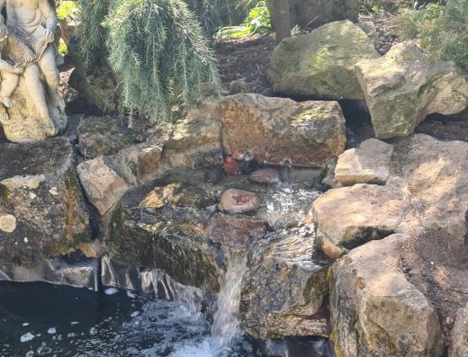 Pondtech – Pond clean and pond maintenance – Aquatic specialist