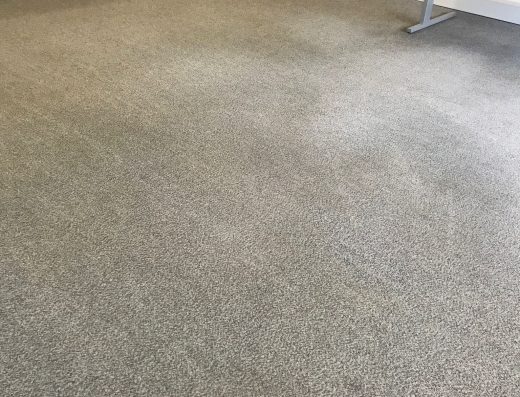 SG Carpet Cleaning Specialist