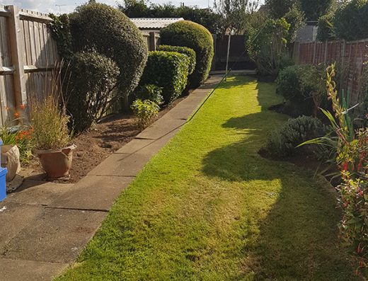 Lawn Ranger Gardening