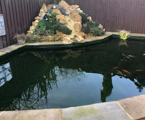 PLG Aquatics